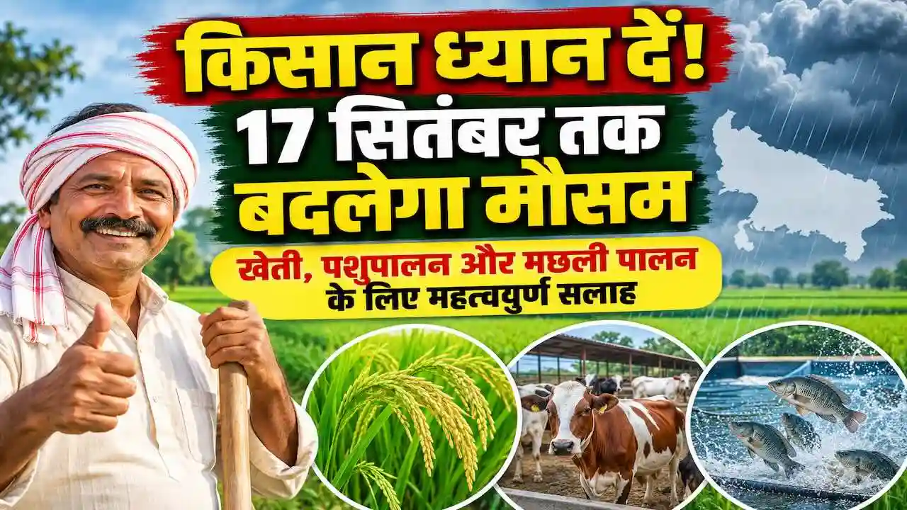 Kharif Mausam fasal salah kheti pashupalan macchli palan