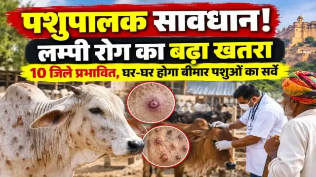 Lumpy Skin Disease Alert Rajasthan Review Meeting