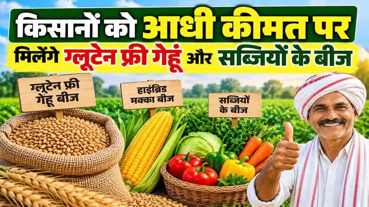 MP Gluten Free Wheat Seed Booking Cooperative Department