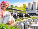 MP Milk Capital Rise in Milk Production and Collection