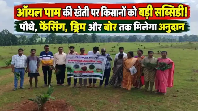 Oil Palm Farming Subsidy Yojana CG