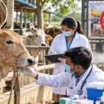 Review meeting to monitor the effective control and prevention of Lumpy disease