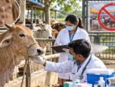 Review meeting to monitor the effective control and prevention of Lumpy disease