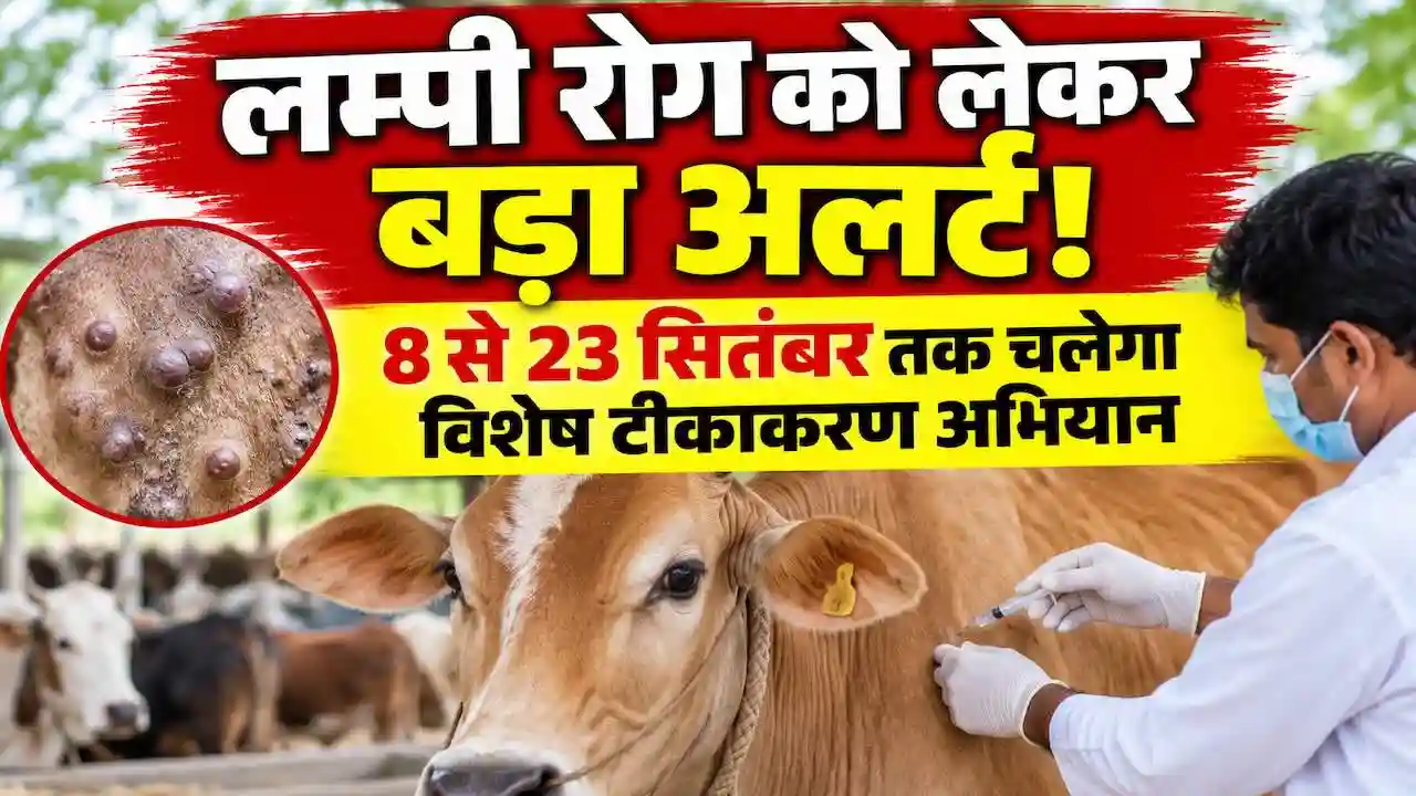 UP Lumpy Disease Vaccination Campaign 2026