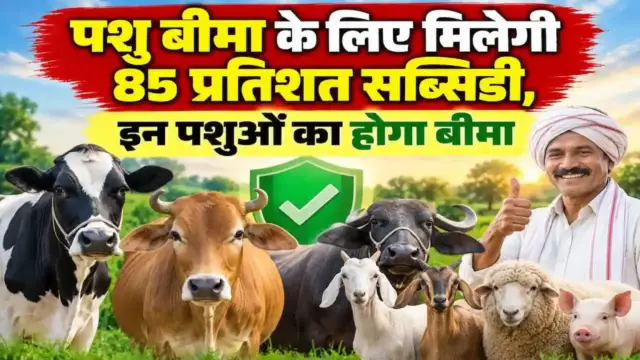 mukhyamantri jokhim prabandhan evam pashudhan bima yojana up